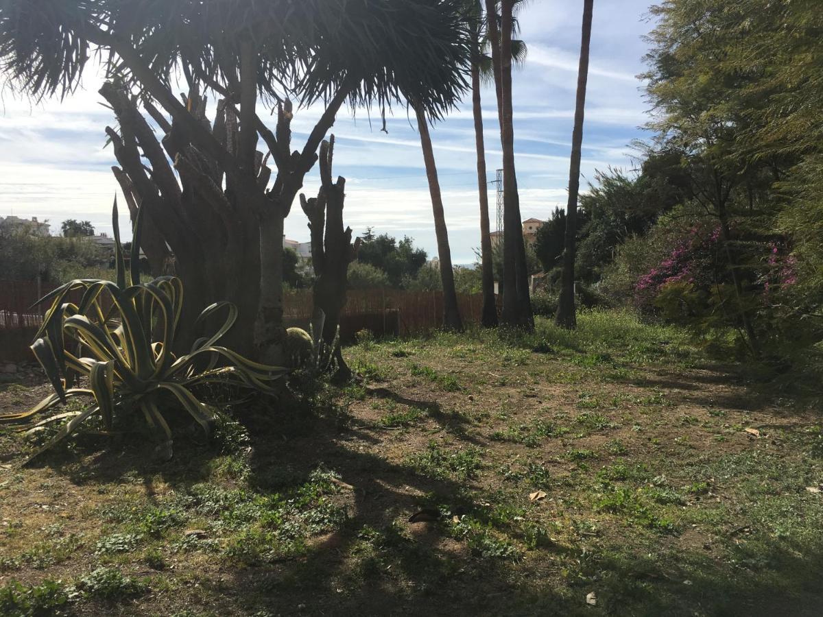 بيناخارافي Casa Rural Paloma المظهر الخارجي الصورة